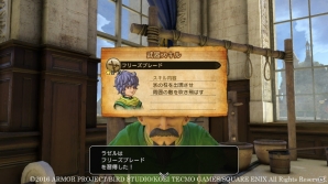PS4/PS3/PS Vita「ドラゴンクエストヒーローズII」主人公たちだけが持つ能力とは？マルチプレイの遊び方も紹介の画像13