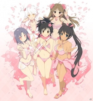 PS4「閃乱カグラ ESTIVAL VERSUS -少女達の選択- 桜 EDITION」が本日発売！PS4テーマ3種も配信スタートの画像5