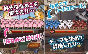 iOS/Android「なめこ栽培キット HD」「なめこ栽培キット Seasons HD」Twitter連動キャンペーンが開催！オリジナルの”なめこ盆栽”をツイートしようの画像4