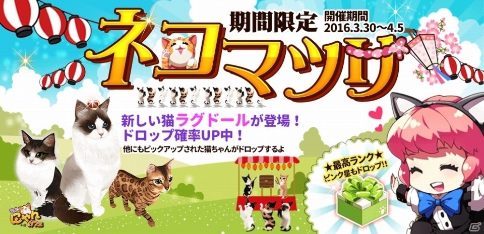 iOS/Android「マイにゃんカフェ」限定インテリア・花見猫が手に入るイベントが開催！月に一度のガチャイベント「ネコマツリ」も実施の画像3