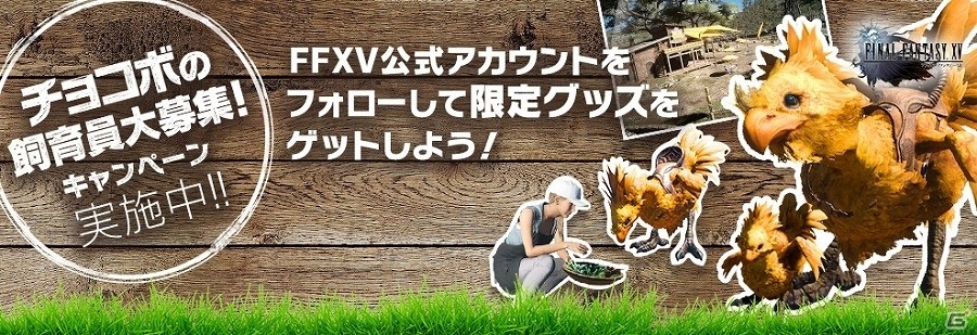 「ファイナルファンタジーXV」オリジナルグッズなどが当たる公式アカウントフォローキャンペーン「チョコボの飼育員大募集！」が開催！の画像1