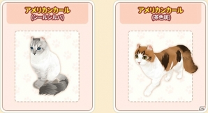 iOS/Android「マイにゃんカフェ」10連ガチャが実装！人懐こい性格のアメリカンカールも猫BOXに追加の画像6