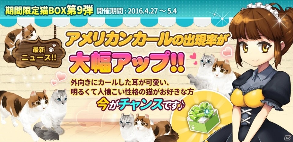 iOS/Android「マイにゃんカフェ」10連ガチャが実装！人懐こい性格のアメリカンカールも猫BOXに追加の画像5