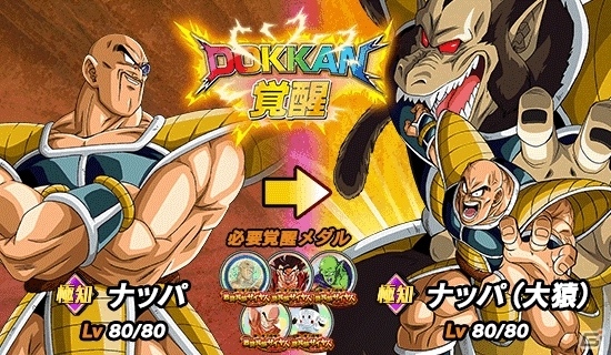 iOS/Android「ドラゴンボールZ ドッカンバトル」悟空、ベジータ、ラディッツたちサイヤ人が大猿に！新機能「大猿モード」が実装の画像7