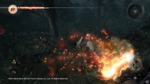 一瞬の、そして冷静な判断が生死を分ける―PS4「仁王」α体験版のプレイフィールを紹介の画像14