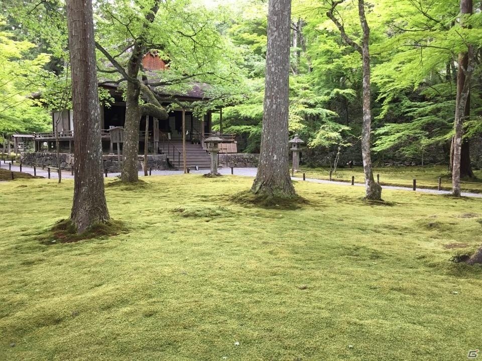 京都・三千院で癒やされてきました―編集部通信（2016年5月14日号）の画像2
