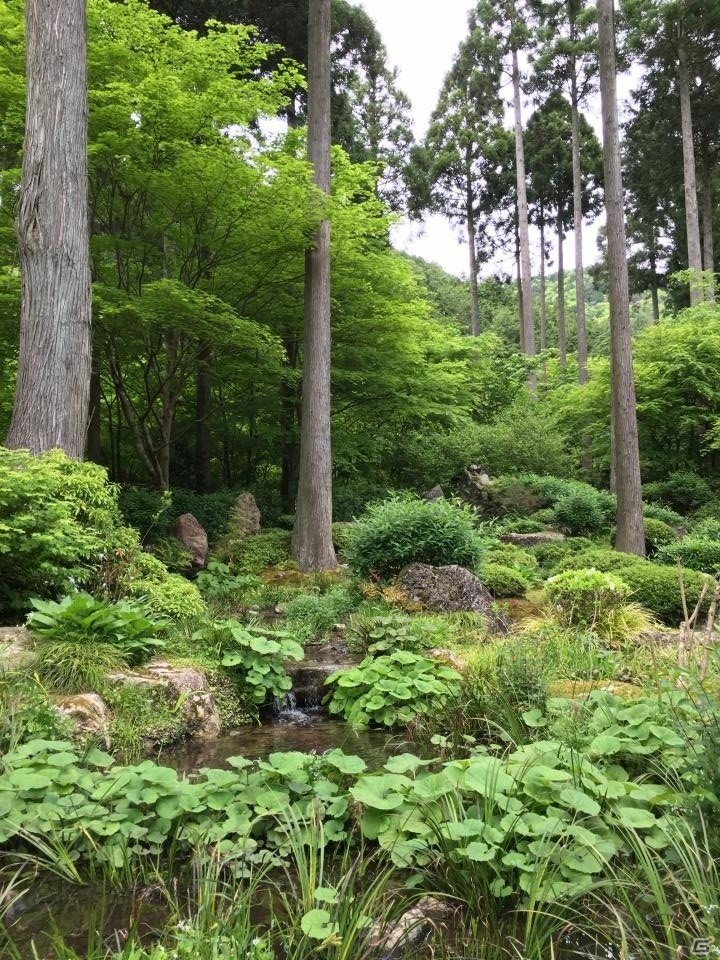 京都・三千院で癒やされてきました―編集部通信（2016年5月14日号）の画像5