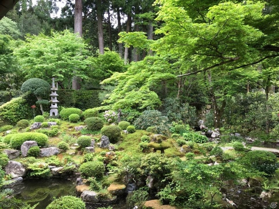 京都・三千院で癒やされてきました―編集部通信（2016年5月14日号）の画像6