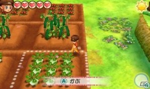 3DS「牧場物語 3つの里の大切な友だち」PV映像が公開！「とっとこハム太郎」コラボも決定の画像7