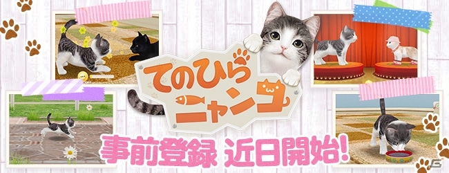 ワンコときたらニャンコ！にゃんこ育成シミュレーション「てのひらニャンコ」がiOS/Android向けに配信決定の画像1