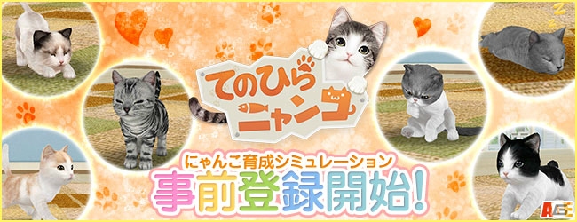 iOS/Android「てのひらニャンコ」事前登録がスタート！お世話したり、庭で遊んだり、芸を教えたり、ゲームの楽しみ方も一部紹介の画像1