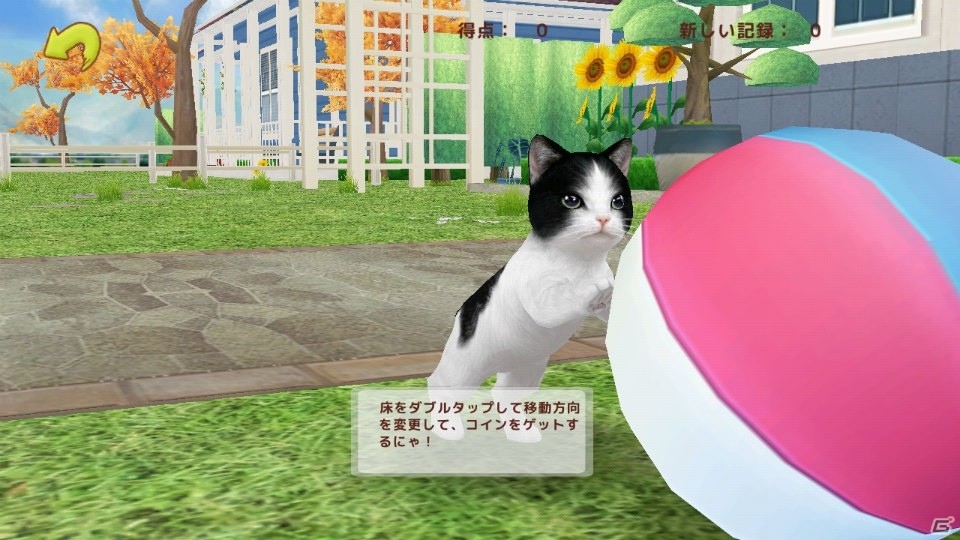 iOS/Android「てのひらニャンコ」事前登録がスタート！お世話したり、庭で遊んだり、芸を教えたり、ゲームの楽しみ方も一部紹介の画像4