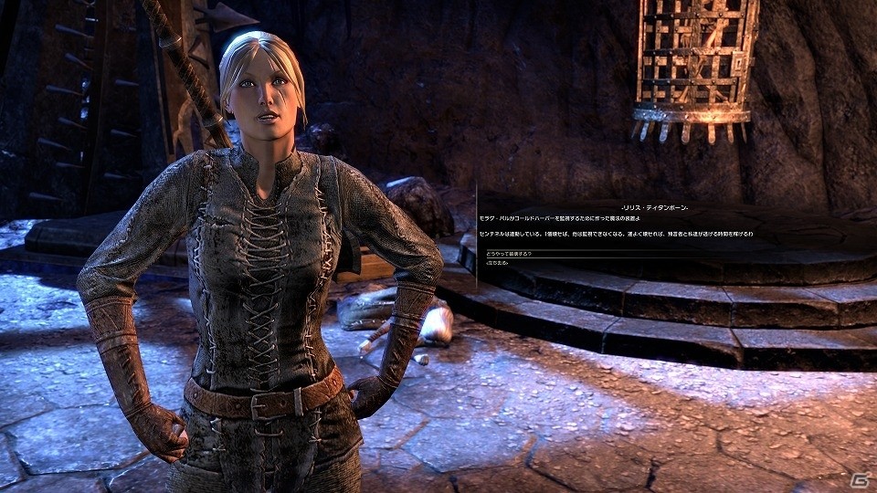 美品 ベセスダ エルダースクロールオンライン ガイドブック 1＆2