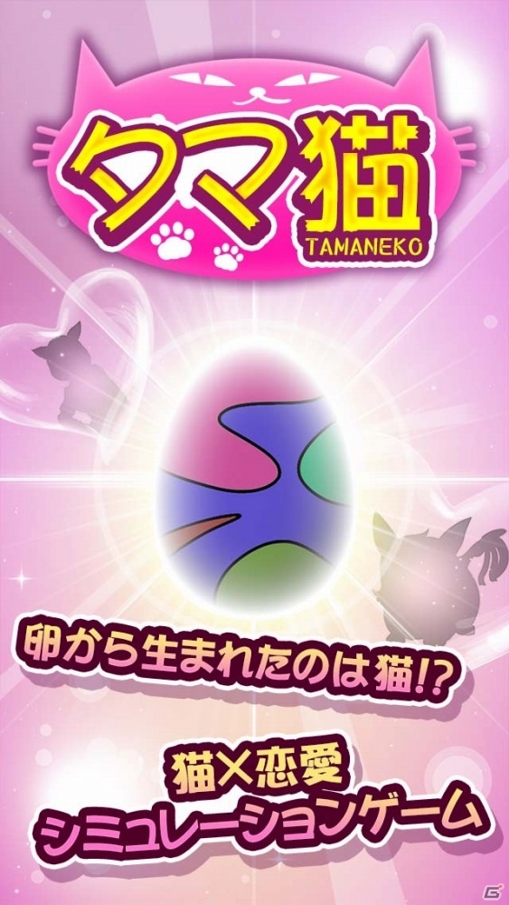 卵から生まれた猫との恋愛が楽しめるSLG「タマ猫」がiOS/Android向けに配信開始の画像2