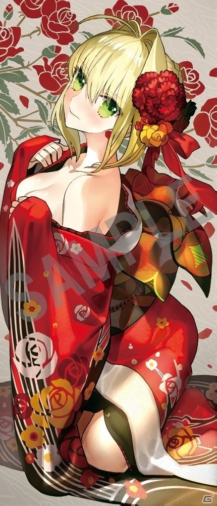 PS4/PS Vita「Fate/EXTELLA」店舗別購入特典描き下ろしイラストの完成版が一挙公開！の画像5