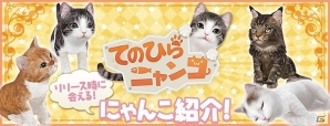 iOS/Android「てのひらニャンコ」最初に選べる4匹のニャンコを紹介！の画像1