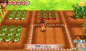 3DS「牧場物語 3つの里の大切な友だち」初心者必見ガイドの第1回「作物づくり」が公開の画像2