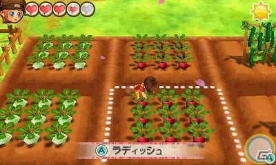 3DS「牧場物語 3つの里の大切な友だち」初心者必見ガイドの第1回「作物づくり」が公開 | Gamer