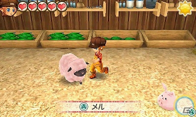 3DS「牧場物語 3つの里の大切な友だち」かわいい動物と毎日ふれあえる「動物のお世話」を紹介の画像7