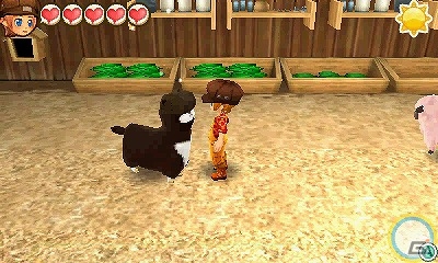 3DS「牧場物語 3つの里の大切な友だち」かわいい動物と毎日ふれあえる「動物のお世話」を紹介の画像9