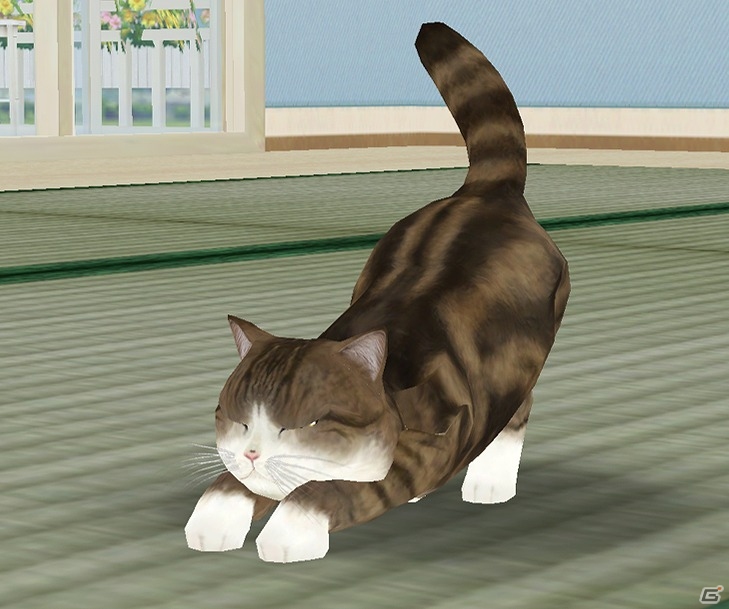 iOS/Android「てのひらニャンコ」動画“特訓するねこ”などでお馴染みの“まる”とのコラボレーションが実施！の画像5