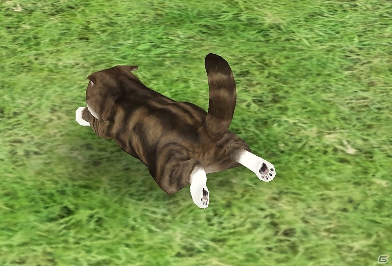iOS/Android「てのひらニャンコ」動画“特訓するねこ”などでお馴染みの“まる”とのコラボレーションが実施！の画像7
