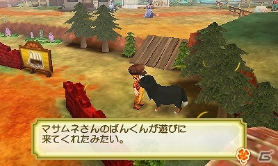 3DS「牧場物語 3つの里の大切な友だち」大好きなペットといつも一緒に過ごそう！「ペットとの暮らし」ガイドを紹介の画像10