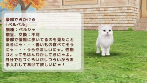 にゃんこ育成シミュレーション「てのひらニャンコ」iOS版が配信開始！レアにゃんこの獲得方法も公開の画像11