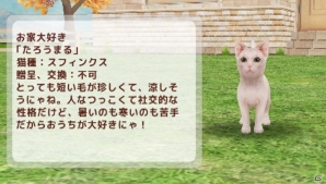 にゃんこ育成シミュレーション「てのひらニャンコ」iOS版が配信開始！レアにゃんこの獲得方法も公開の画像9