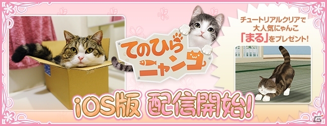 にゃんこ育成シミュレーション「てのひらニャンコ」iOS版が配信開始！レアにゃんこの獲得方法も公開の画像1