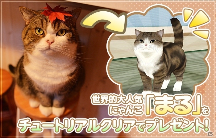 Android版「てのひらニャンコ」が配信開始！大人気にゃんこ「まる」＆30ダイヤのプレゼントもの画像1
