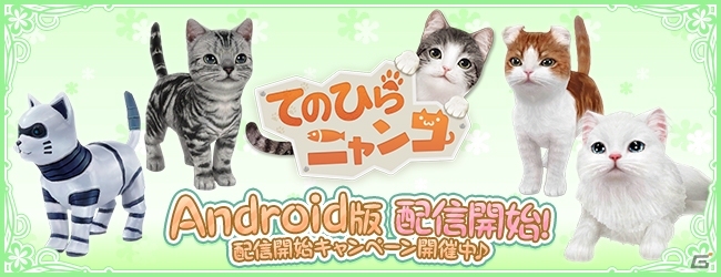 Android版「てのひらニャンコ」が配信開始！大人気にゃんこ「まる」＆30ダイヤのプレゼントもの画像2
