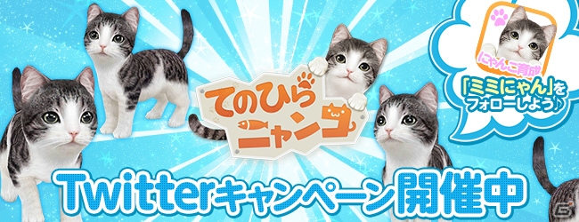 iOS/Android「てのひらニャンコ」Twitterフォローキャンペーンが実施中の画像1