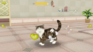 イマドキは1分で猫バカになれるんです！iOS/Android「てのひらニャンコ」のある生活の画像11