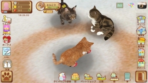 イマドキは1分で猫バカになれるんです！iOS/Android「てのひらニャンコ」のある生活の画像20