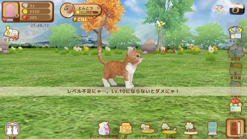 イマドキは1分で猫バカになれるんです！iOS/Android「てのひらニャンコ」のある生活の画像13