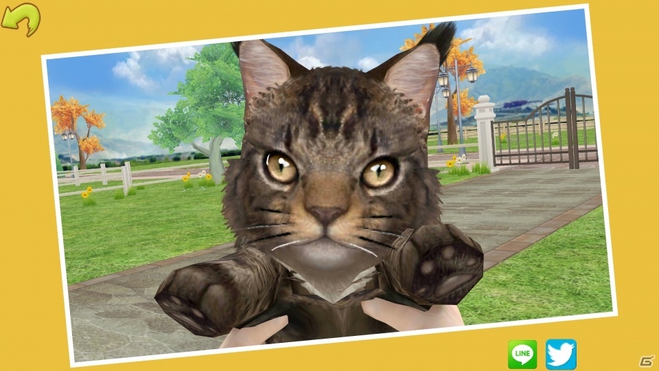 イマドキは1分で猫バカになれるんです！iOS/Android「てのひらニャンコ」のある生活の画像25