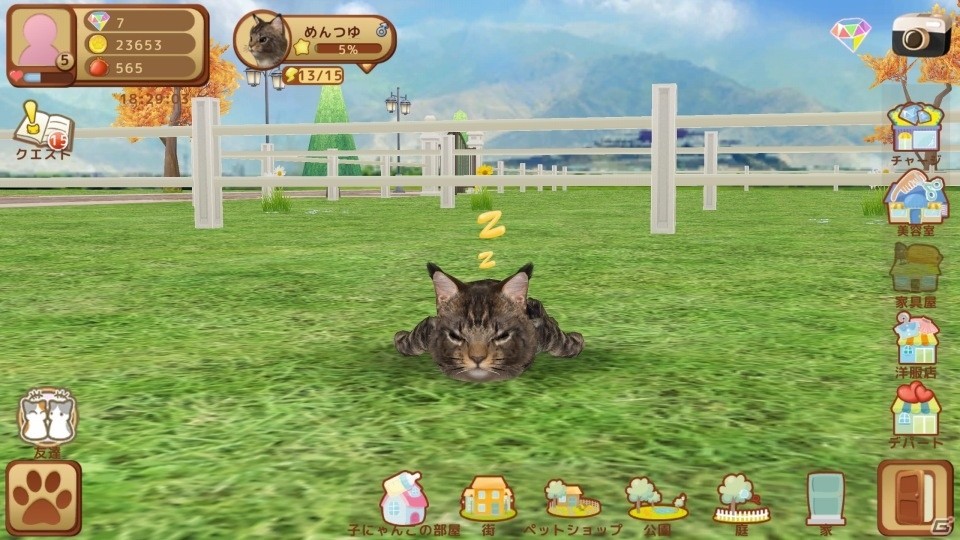 イマドキは1分で猫バカになれるんです！iOS/Android「てのひらニャンコ」のある生活の画像27