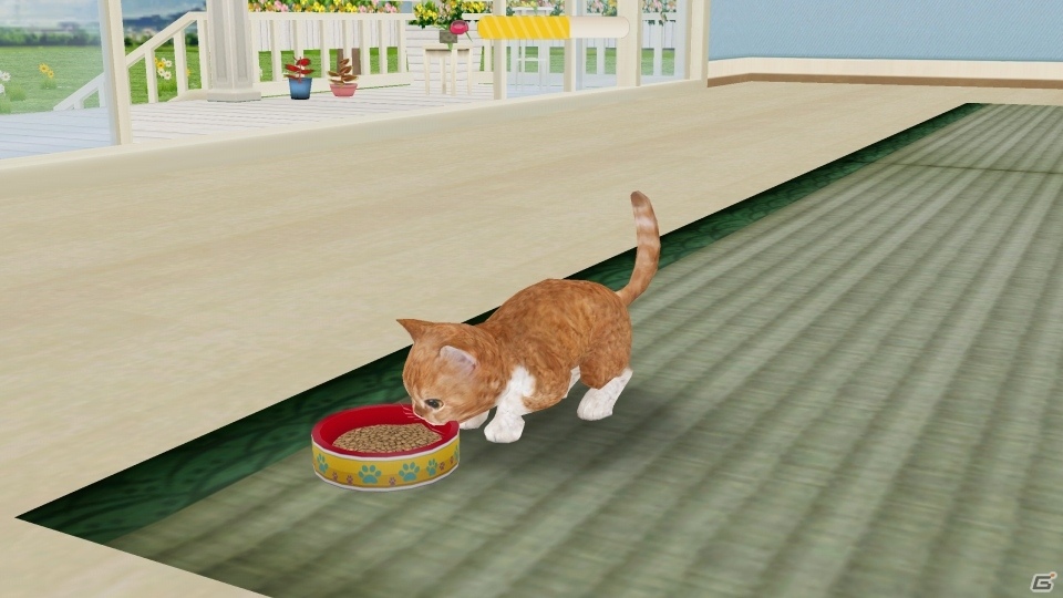 イマドキは1分で猫バカになれるんです！iOS/Android「てのひらニャンコ」のある生活の画像8