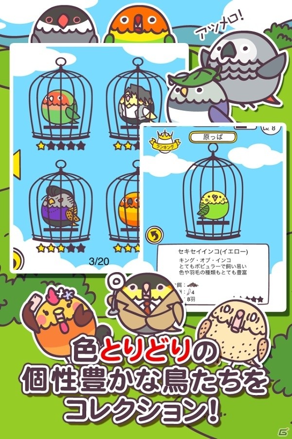 バードハンターはここにいるぞ！Android版「とりはんと」が配信開始の画像4