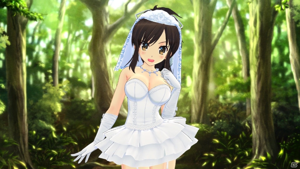 PS4/PS Vita「閃乱カグラ ESTIVAL VERSUS -少女たちの選択-」のDLCがセール価格に！パイの日記念ビッグセール第2弾が開始の画像3