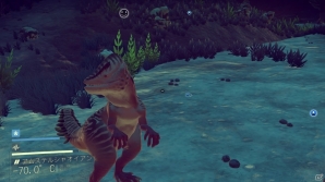 18,446,744,073,709,551,616個の惑星をまたにかけるPS4「No Man's Sky」プレイレポートの画像16