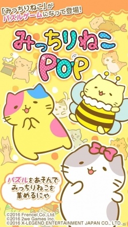 iOS/Android「みっちりねこPOP」美猫「はにー」が登場！ゲームプレイアップデートも実施の画像3