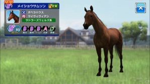 馬を育て始めました―編集部通信（2016年9月10日号）の画像2