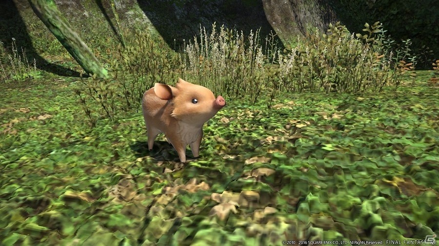 「ファイナルファンタジーXIV: 蒼天のイシュガルド」Patch 3.4「魂を継ぐ者」PvPコンテンツや「女神ソフィア闘滅戦」の情報が公開の画像19