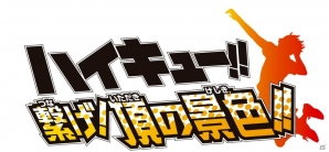 3DS ハイキュー!! Cross team match!＆繋げ頂きの景色!! Amazon.co.jp: ハイキュー!! 繋げ!頂の景色!! - 3DS : ゲーム
