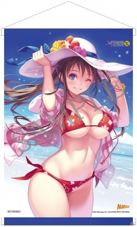 PS Vita「VALKYRIE DRIVE -BHIKKHUNI- Bikini Party Edition」店舗別オリジナル特典アイテム画像が公開！の画像11
