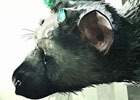 PS4「人喰いの大鷲トリコ」90名以上の演奏家が参加した楽曲メイキングトレーラーが公開！