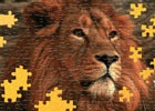 「Wild Animals - Animated Jigsaws」がSteamで全世界に向けて発売―野生動物の動画で遊べるデジタルジグソーパズル