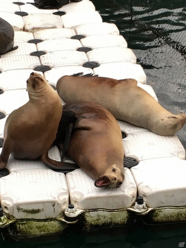 沼津は内浦に行ってきました―編集部通信（2016年11月12日号）の画像6
